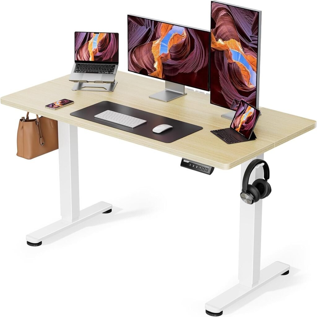 ErGear Height Adjustable Electric Standing Desk